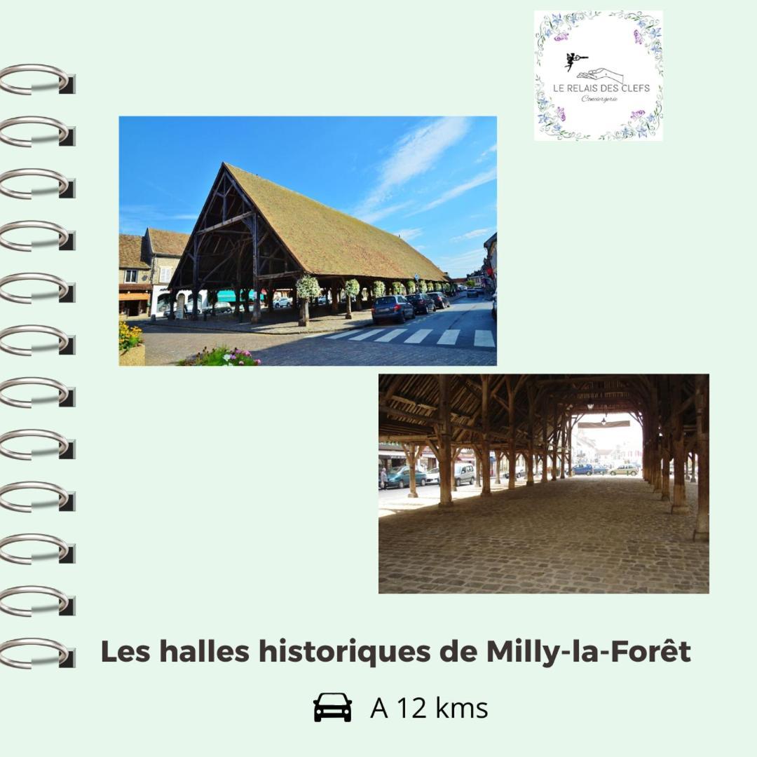 Le Relais Des Clefs - Au Calme Du Gatinais - Escapade A Deux - Terrasse Privee - Wifi - Offre Romantique Sur Demande Valpuiseaux Екстериор снимка
